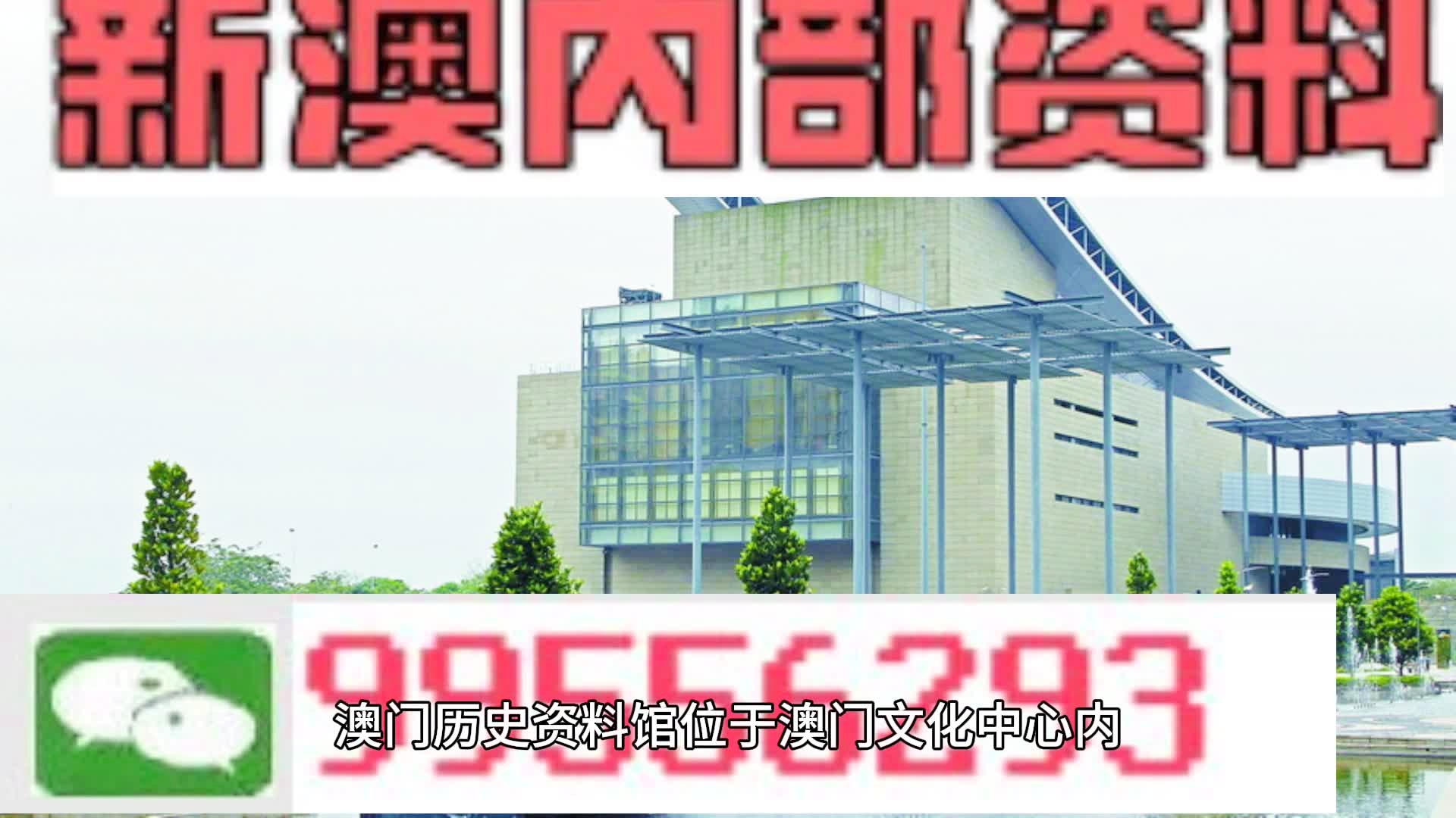 2024年新澳门王中王资料199期;-精选解析与解释落实